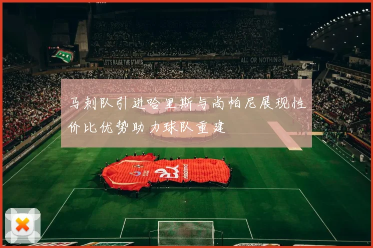 马刺队引进哈里斯与尚帕尼展现性价比优势助力球队重建