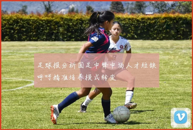 足球报分析国足中锋中场人才短缺呼吁精准培养模式转变